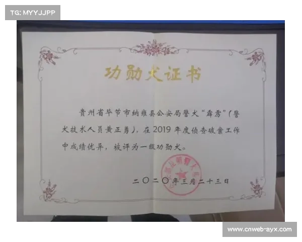 退役警犬转行球场安检员 查获违禁品勇获奖章荣誉 退役警犬转行球场安检员 查获违禁品勇获奖章荣誉